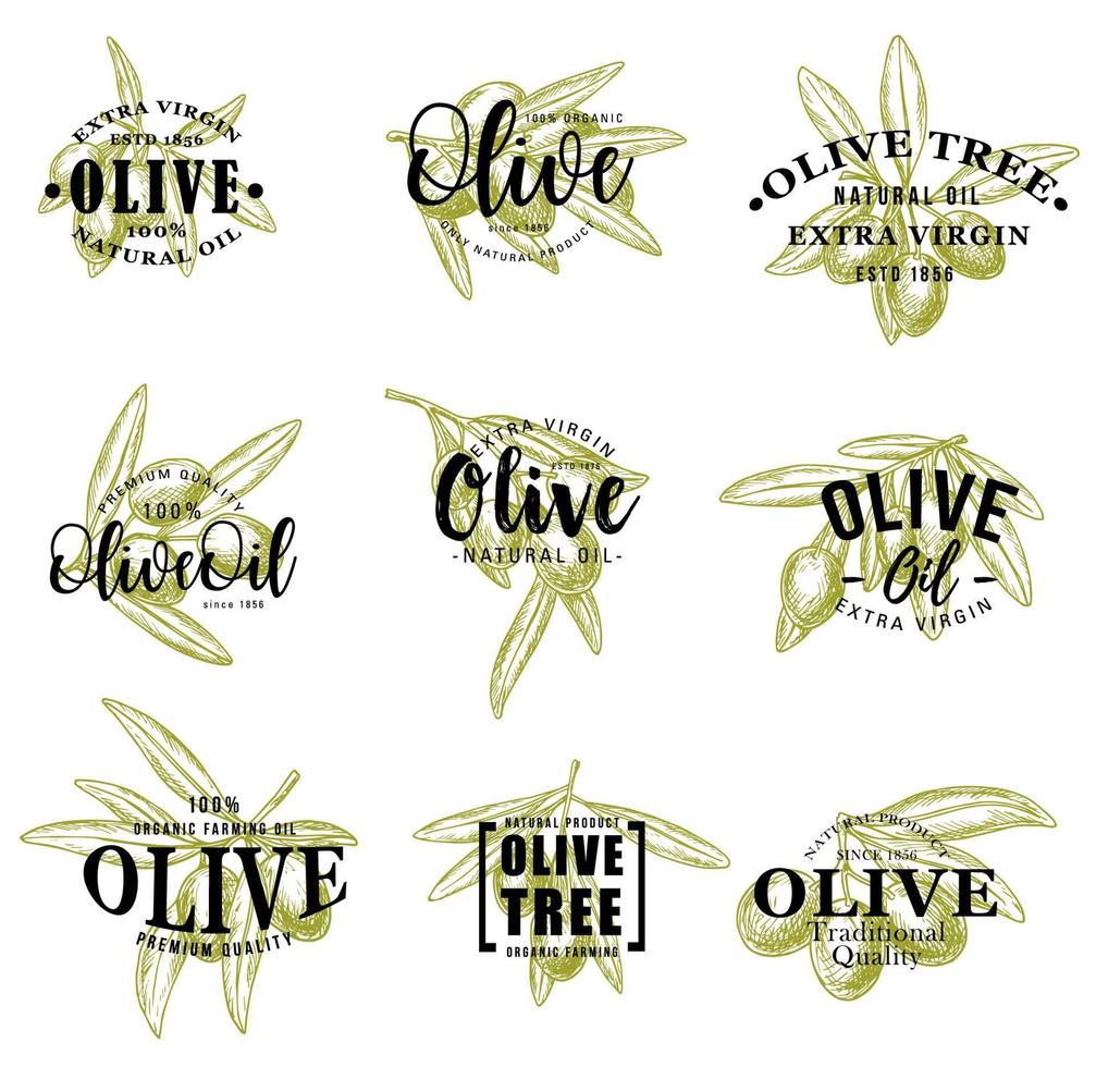 Olive oil and branches icons, vector lettering