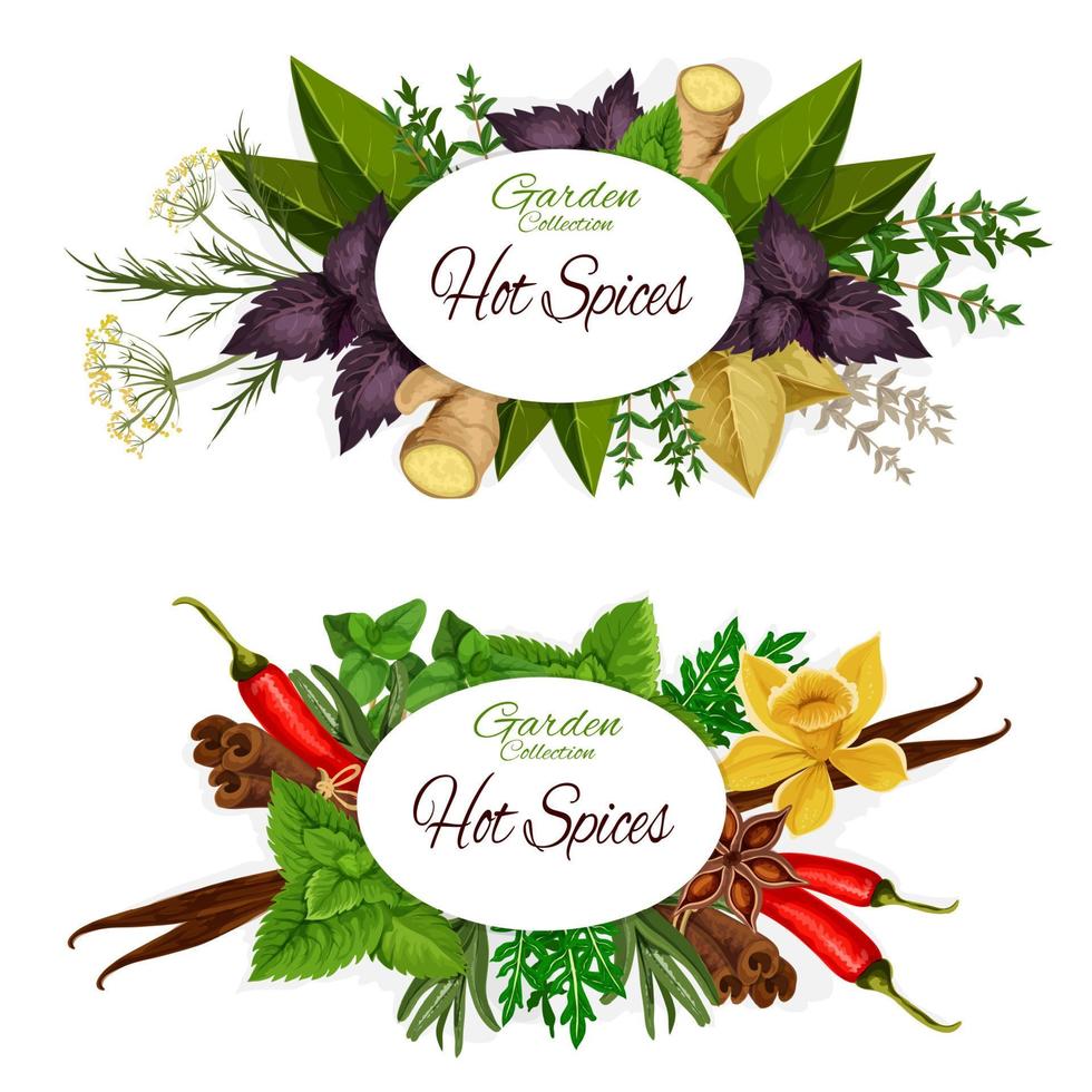 Herbs and hot spices, seasonings banners vector