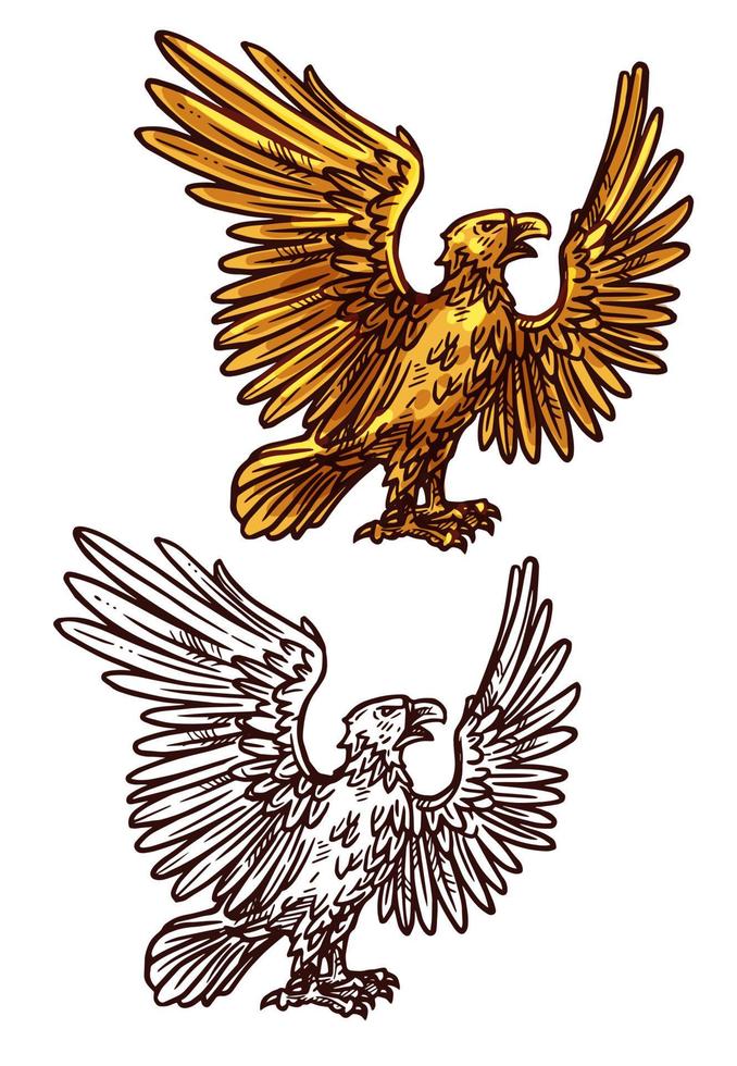 Hawk or eagle, heraldic golden bird, vector