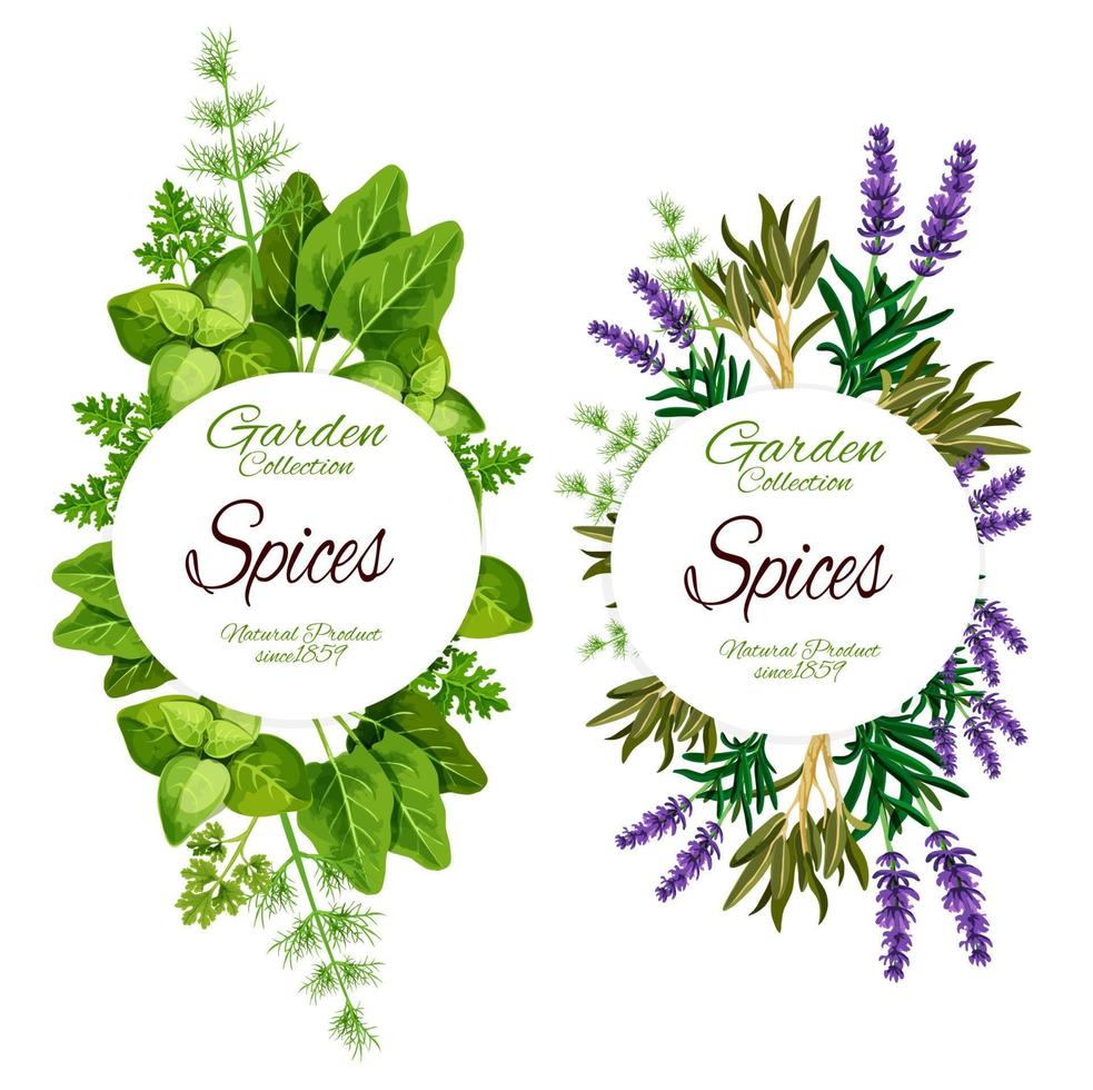 Organic herbs and spices, green seasonings vector