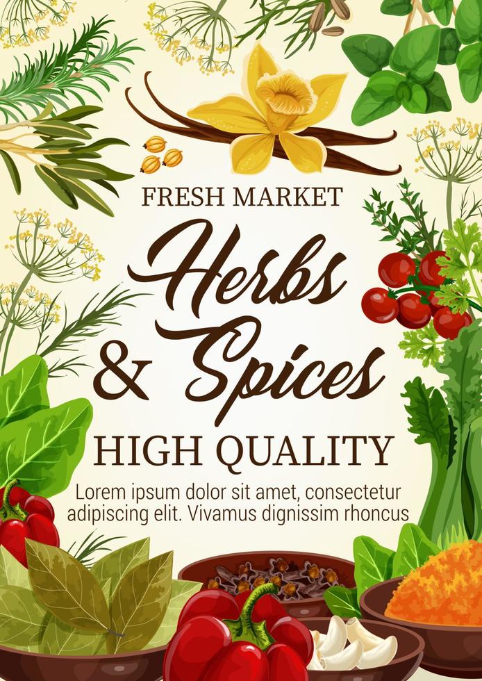 condimentos de especias y hierbas, mercado agrícola vector