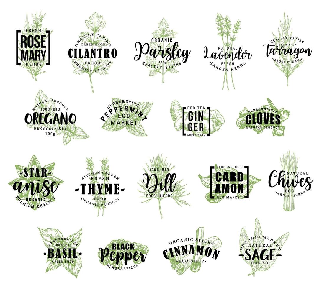 Herb and spice icons with lettering, vector