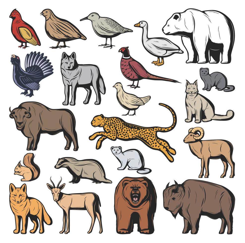 Forest and safari animals, hunting sport vector