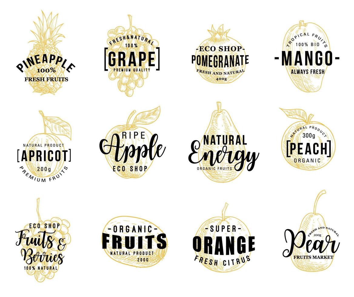 Fruits and berry lettering icons vector