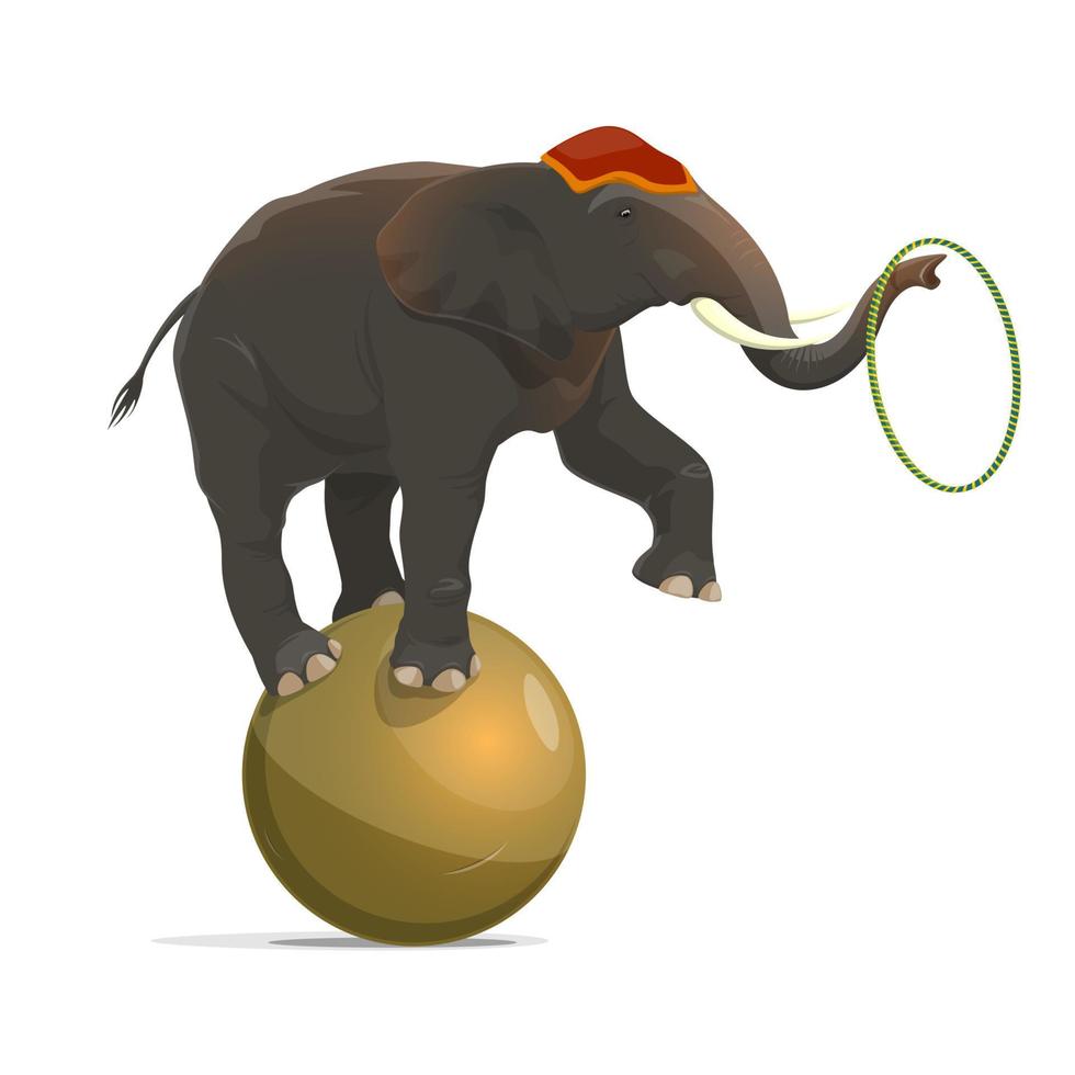Circus elephant balancing on ball, juggling hoop vector
