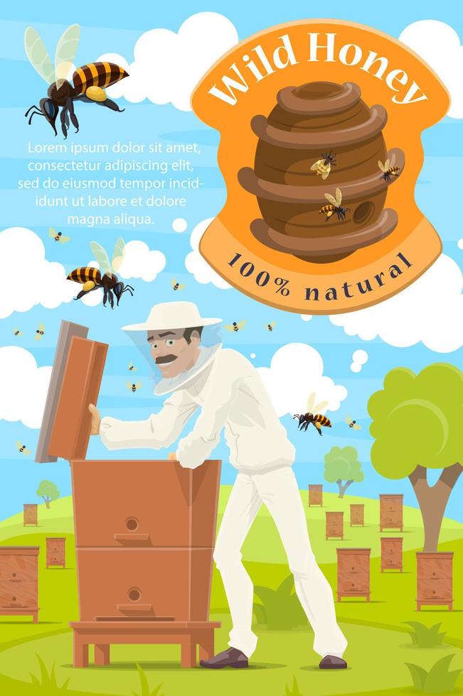 Beekeeping and beekeeper at honey apiary vector