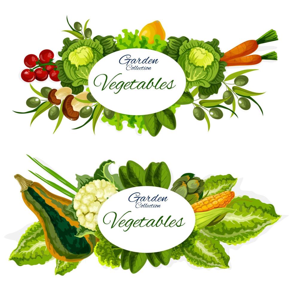 verduras, champiñones y hojas de ensalada. comida de granja vector