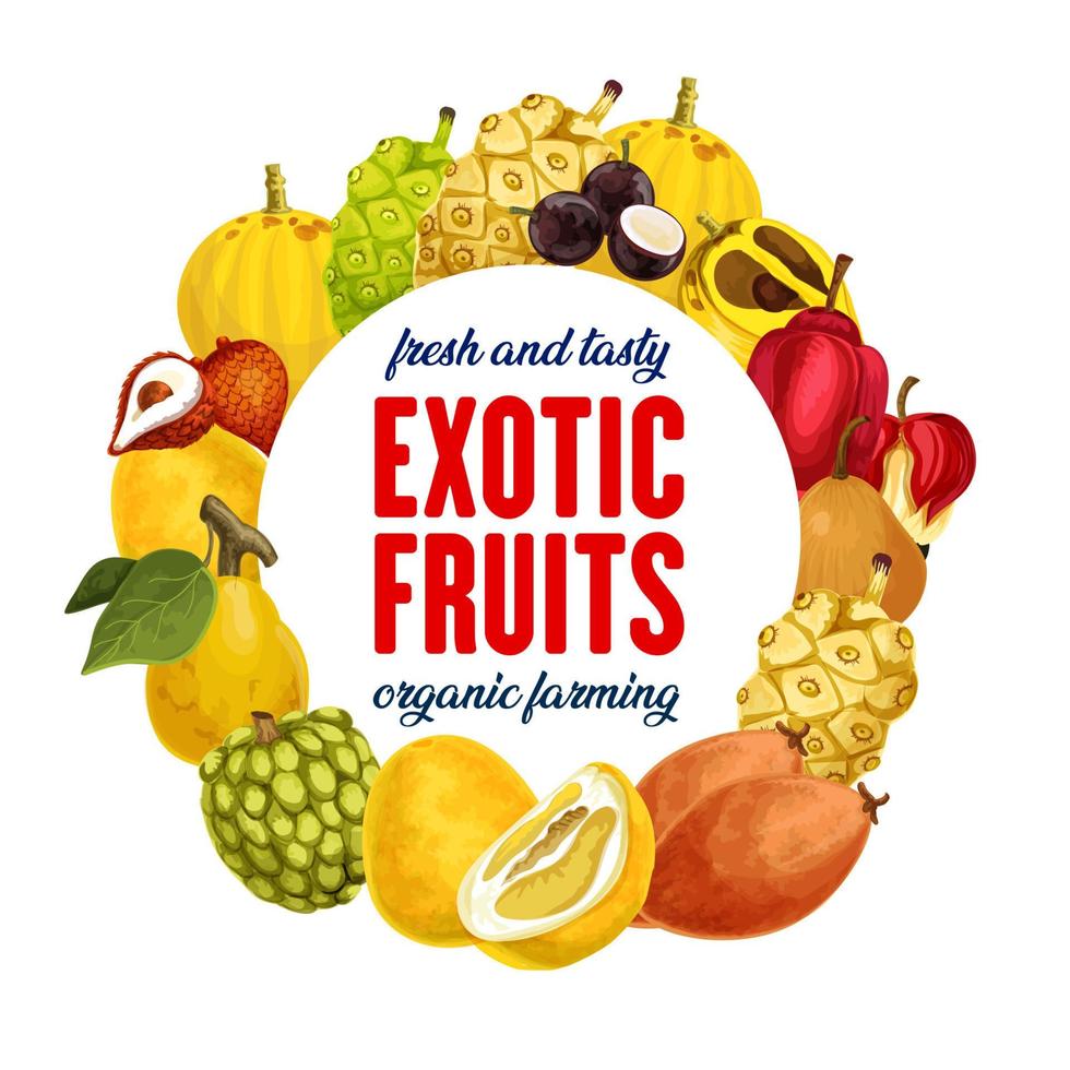 icono de frutas exóticas para la tienda de comestibles o el mercado agrícola vector