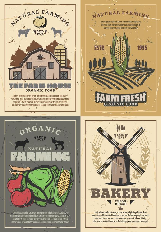 Farming farm barn, field, vegetables and animals vector