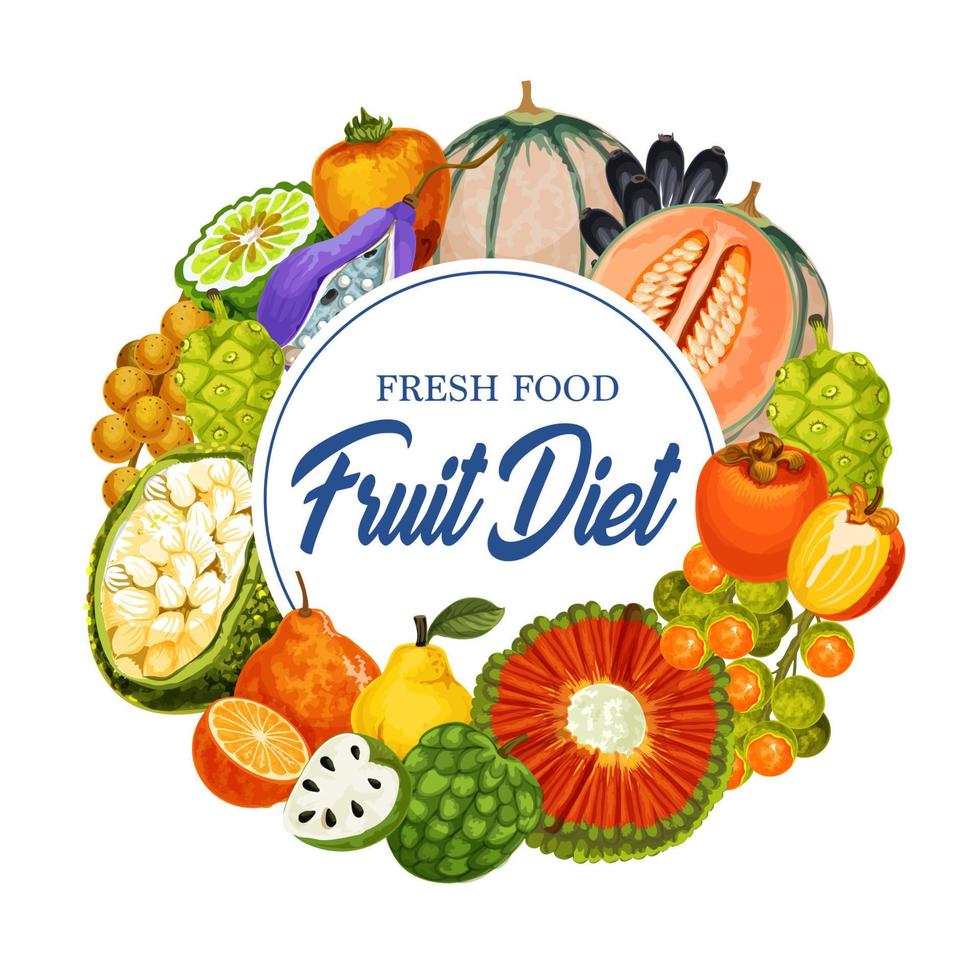 Tropical fruits diet banner, grocery store or shop vector