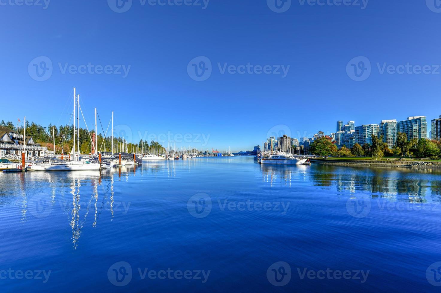 Vancouver Downtown Skyline  during the daytime from Stanley Park, Canada. photo