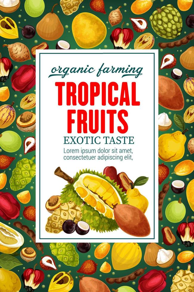 frutas tropicales, comida exótica vectorial vector