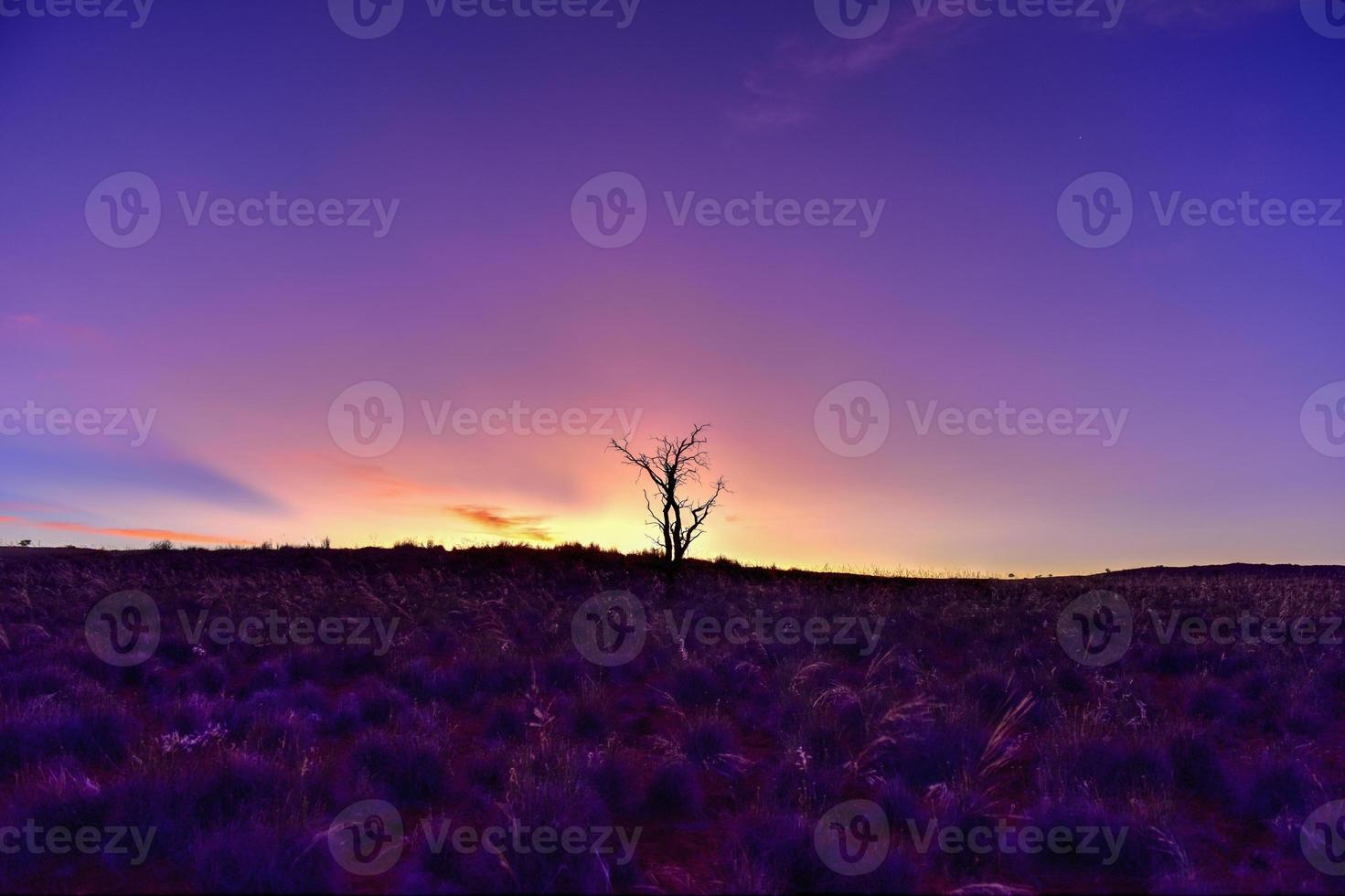 Desert Landscape - NamibRand, Namibia photo