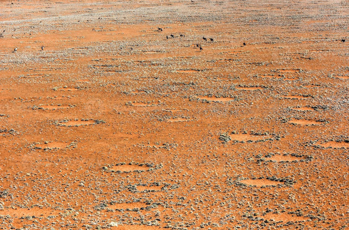 Fairy Circles - Namibia photo