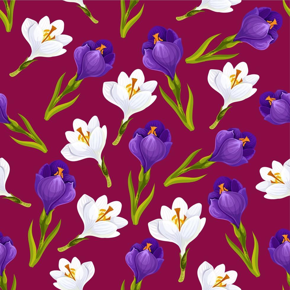 Spring crocus flower seamless pattern, vector