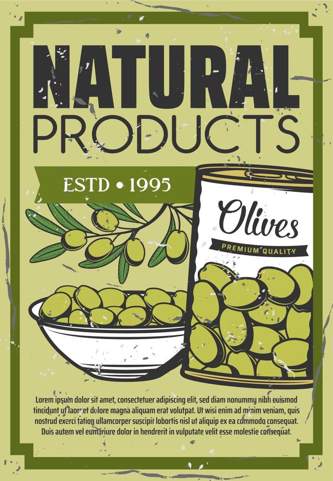 Organic pickle olives, natural food snacks vector