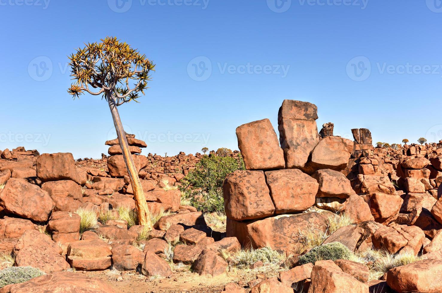 parque infantil de gigantes - namibia foto