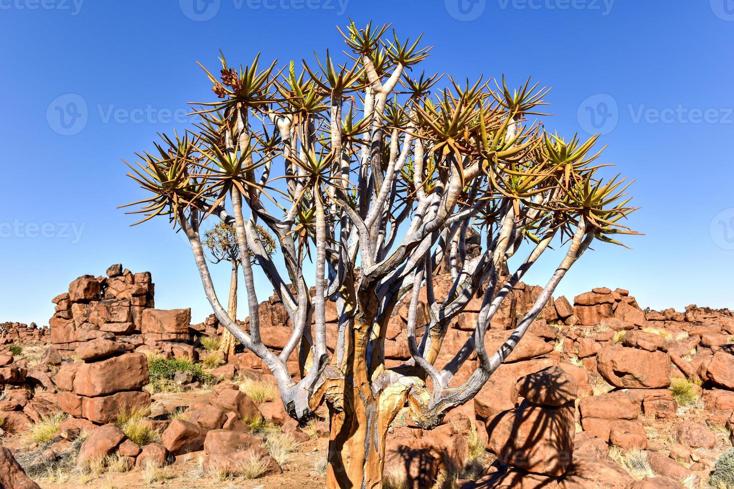 Giant's Playground - Namibia photo
