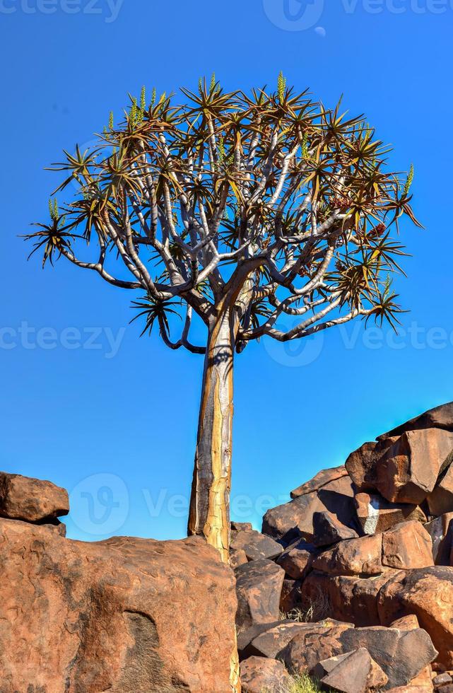 Giant's Playground - Namibia photo