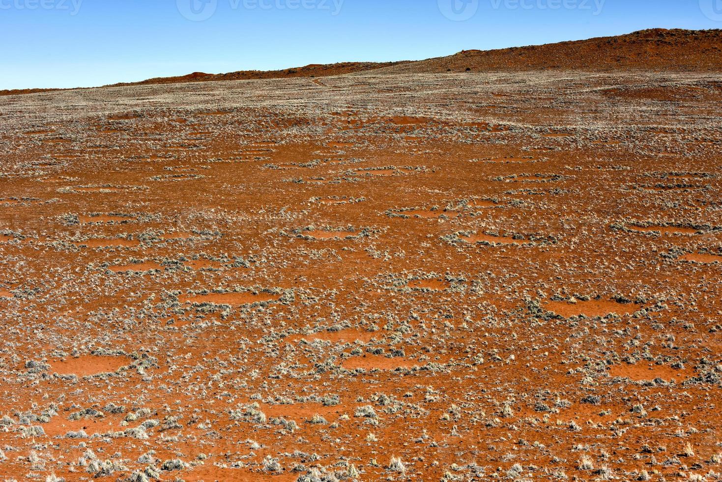 círculos de hadas - namibia foto