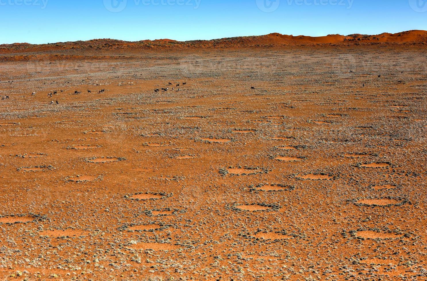 Fairy Circles - Namibia photo