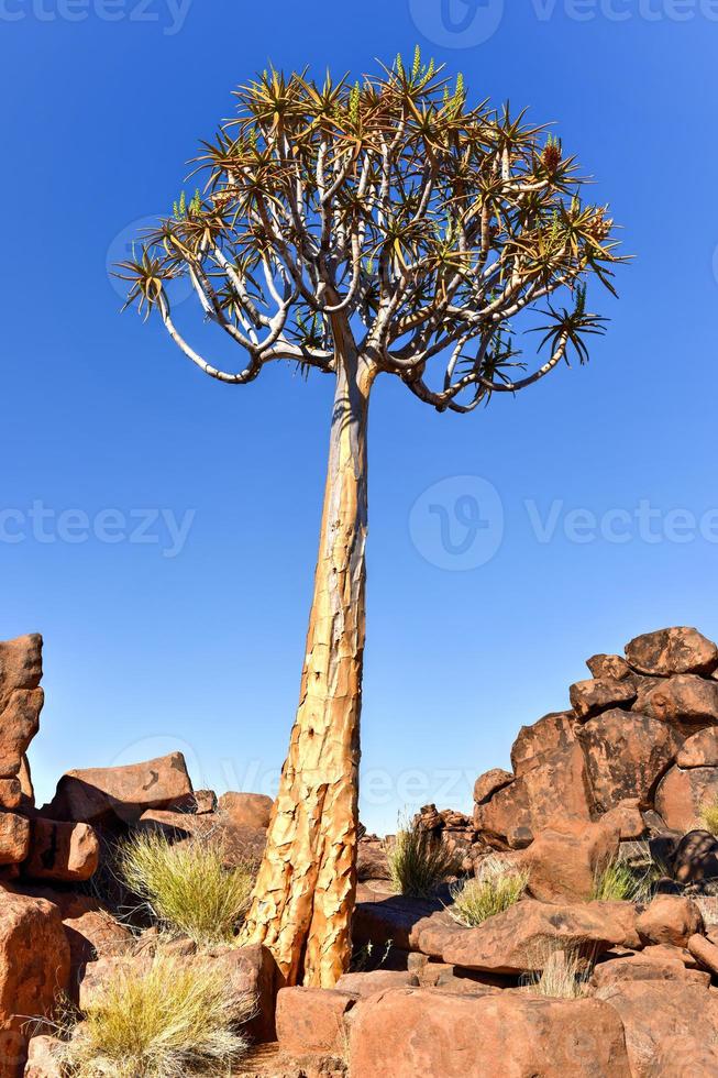 Giant's Playground - Namibia photo