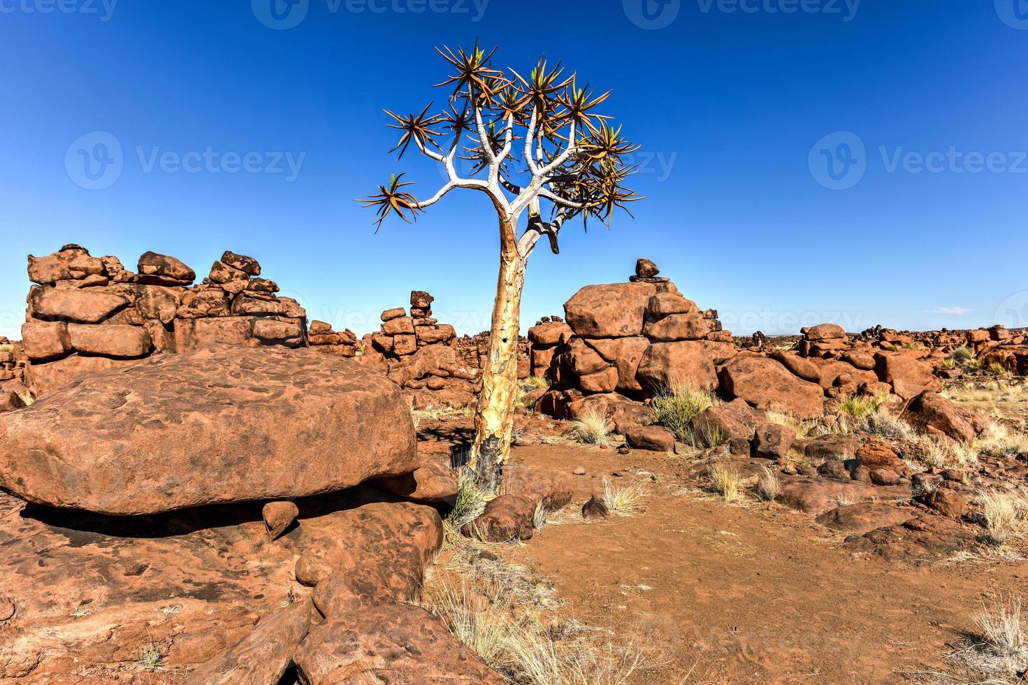 parque infantil de gigantes - namibia foto