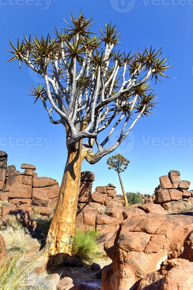 Giant's Playground - Namibia photo