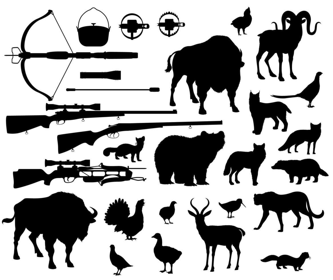 Hunting sport, animals and birds, shooting items vector