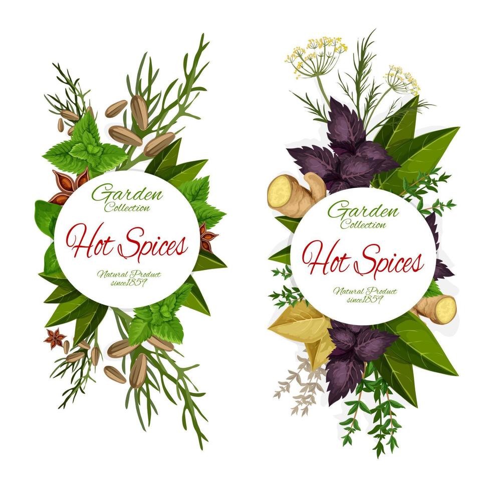 Seasoning of herbs and spices icons, grocery store vector