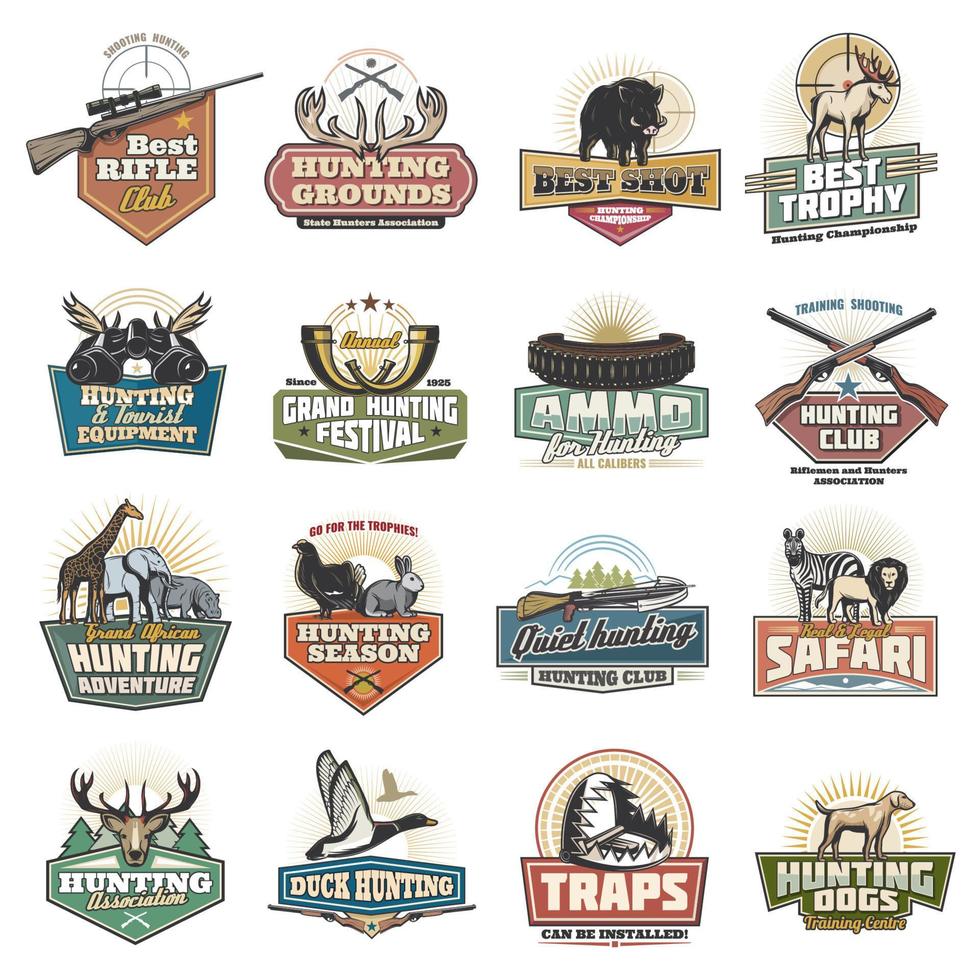 Safari and hunting sport icons, equipment vector