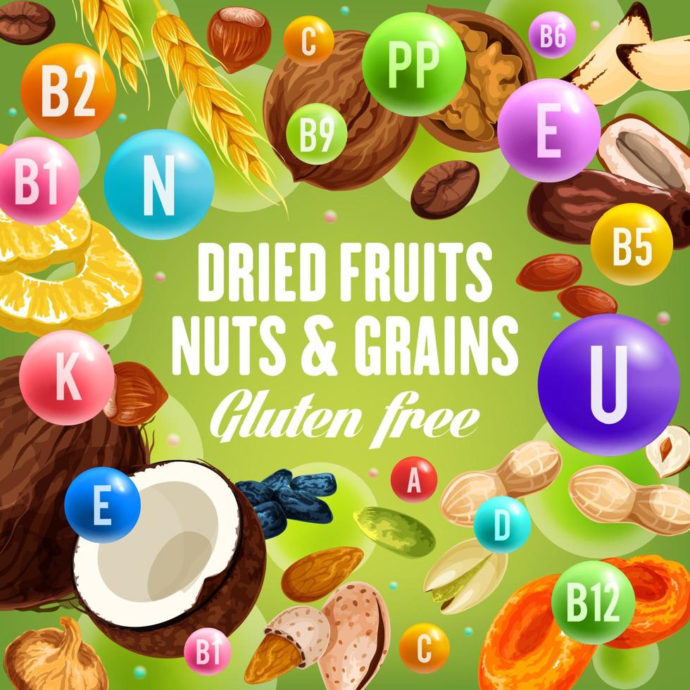 frutas secas, nueces y granos, alimentos sin gluten vector