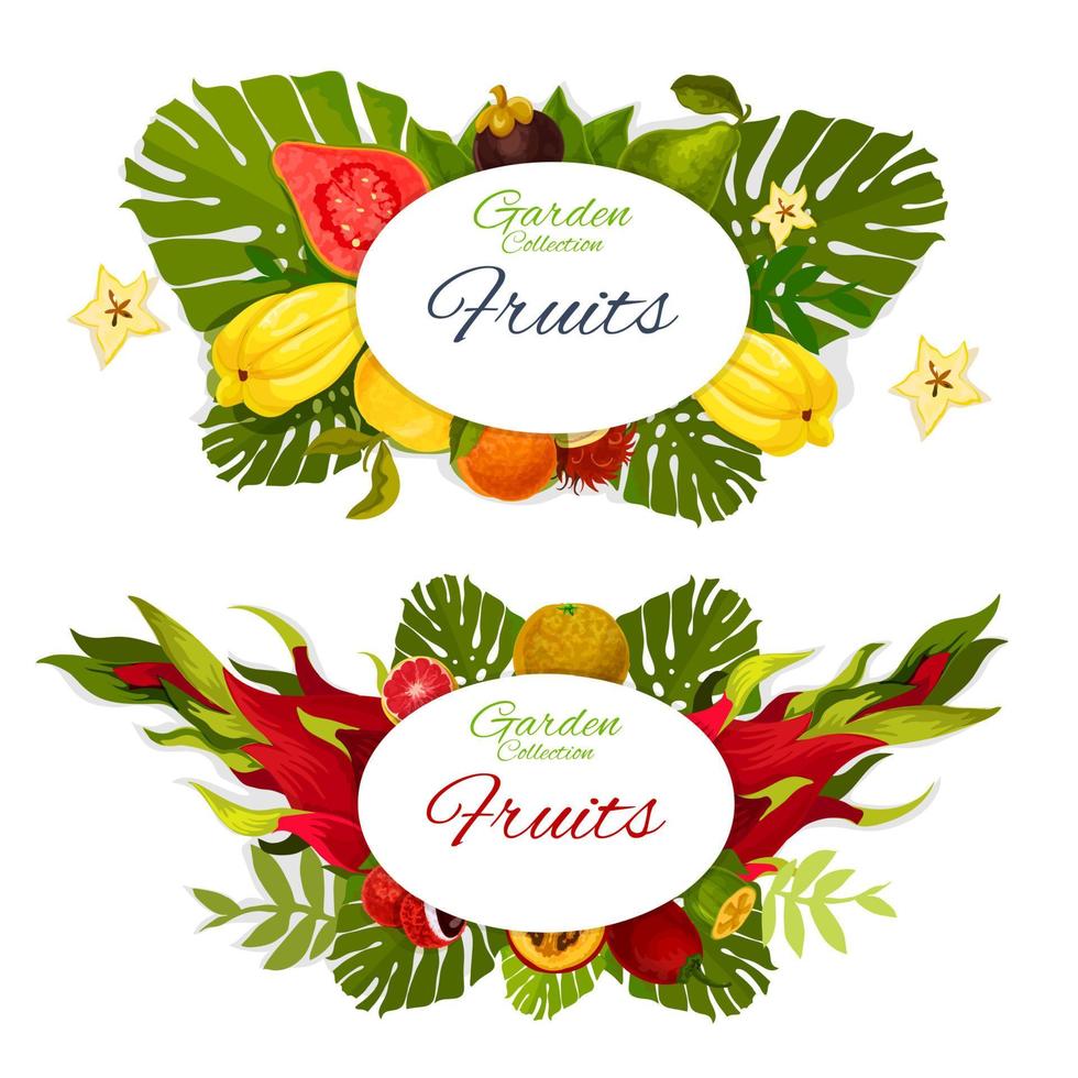 Exotic fruits or berries with tropical palm leaves vector