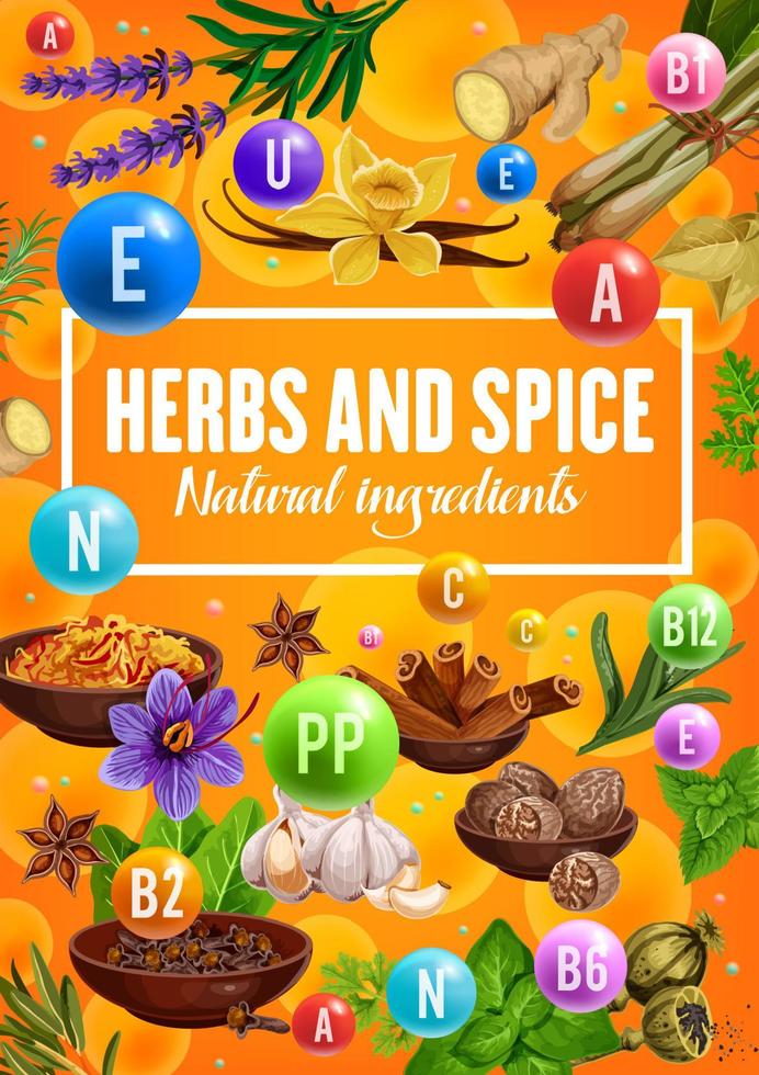 hierbas y especias naturales condimentos vitaminas vector