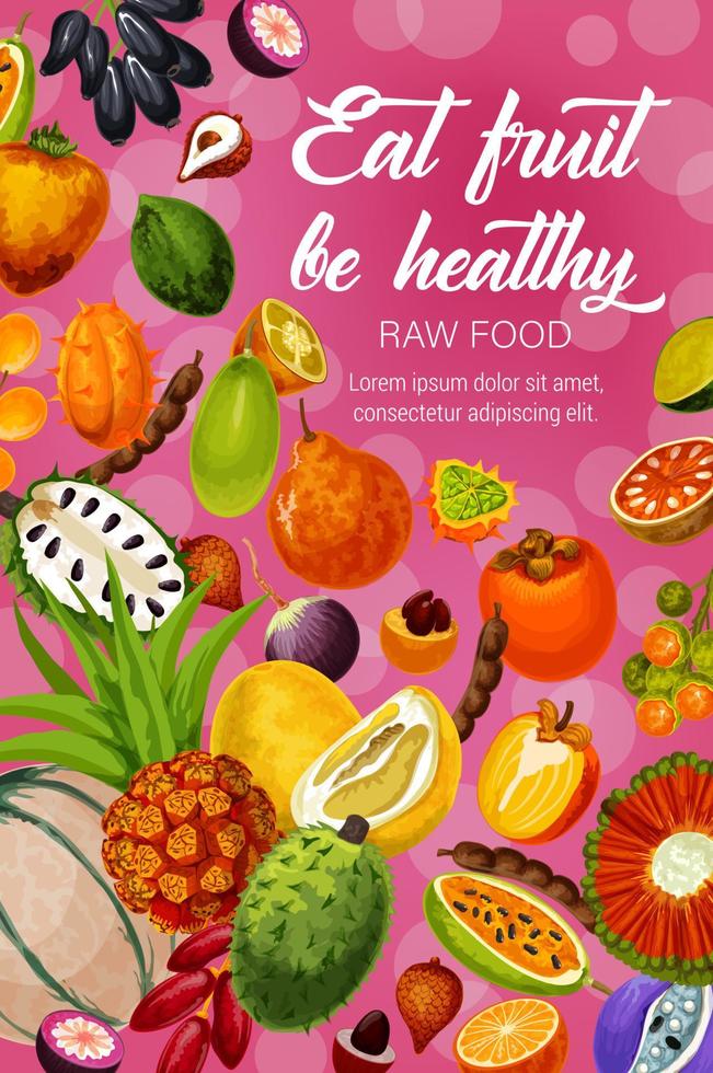 Exotic tropic fruits, tropical farm harvest vector