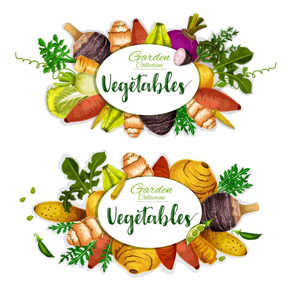 verduras exóticas con raíz principal, hierbas y frijoles vector