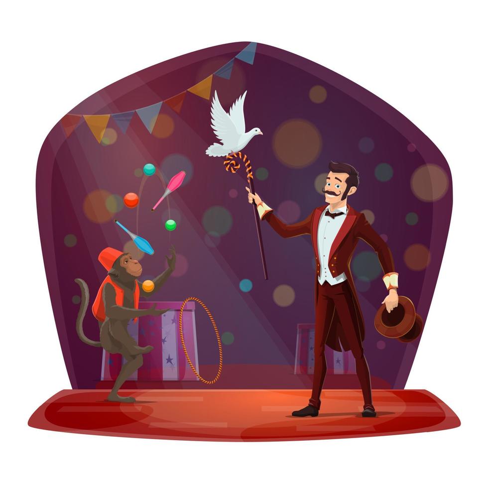 Circus monkey juggling, illusionist dove hat show vector