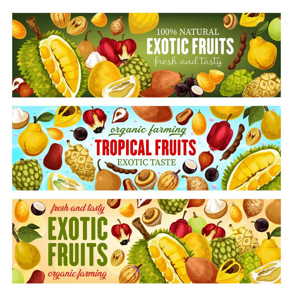 frutas y bayas exóticas. comida tropical, bebida vector