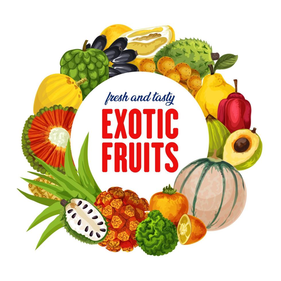 frutas exóticas, cítricos tropicales, cosecha de melón vector