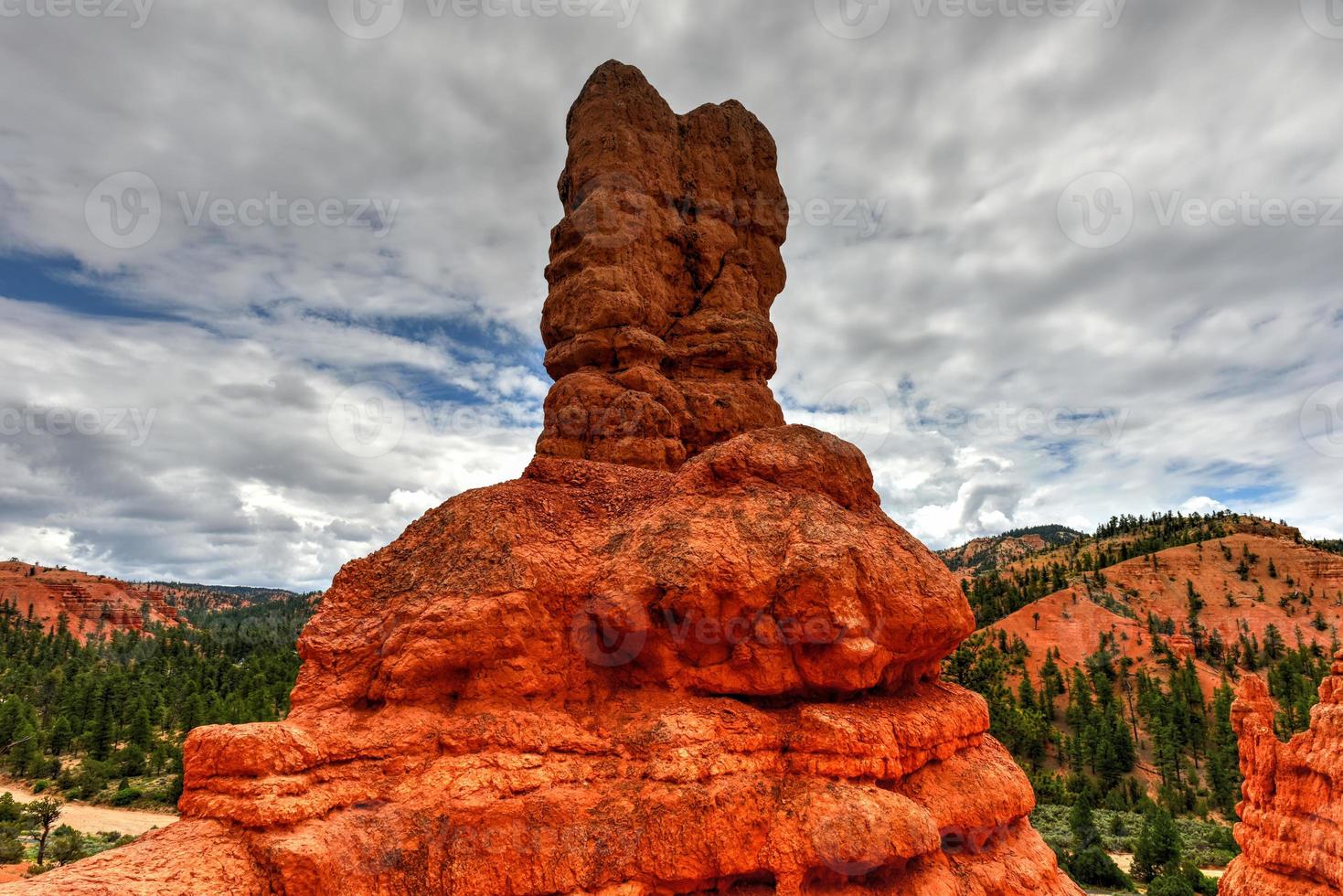 cañón rojo en el bosque nacional dixie en utah, estados unidos. foto