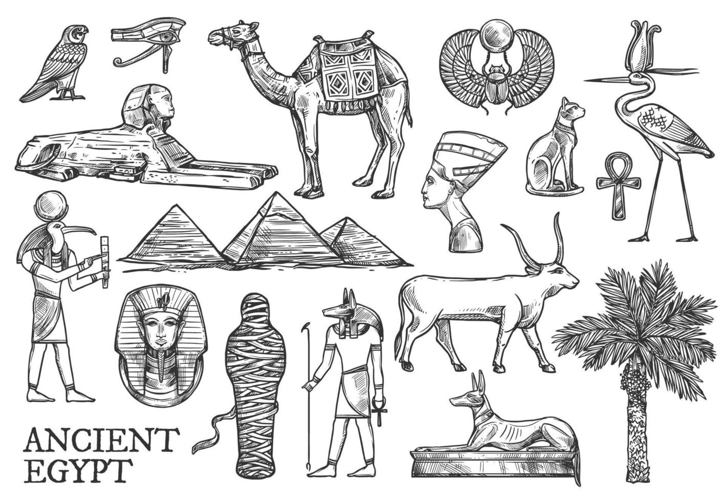 iconos del antiguo egipto, dioses y bocetos emblemáticos vector