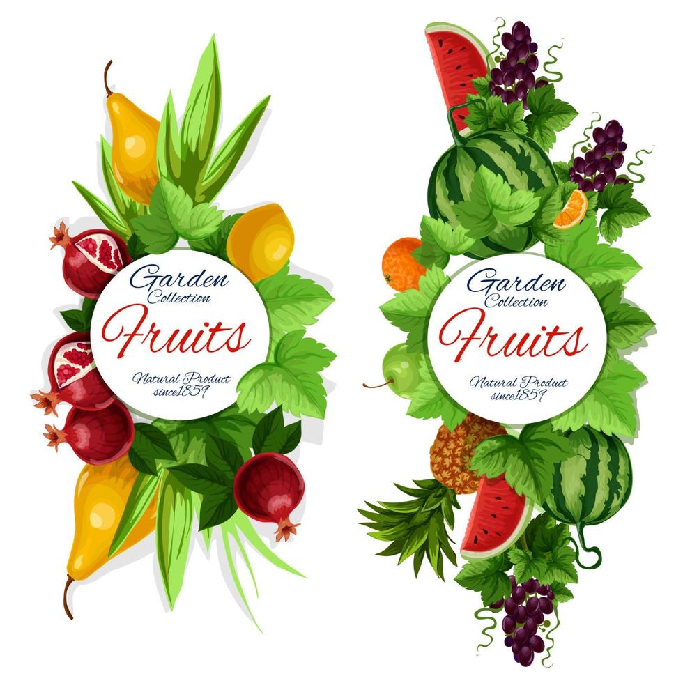 Garden fruits, grape with leaves isolated banner vector
