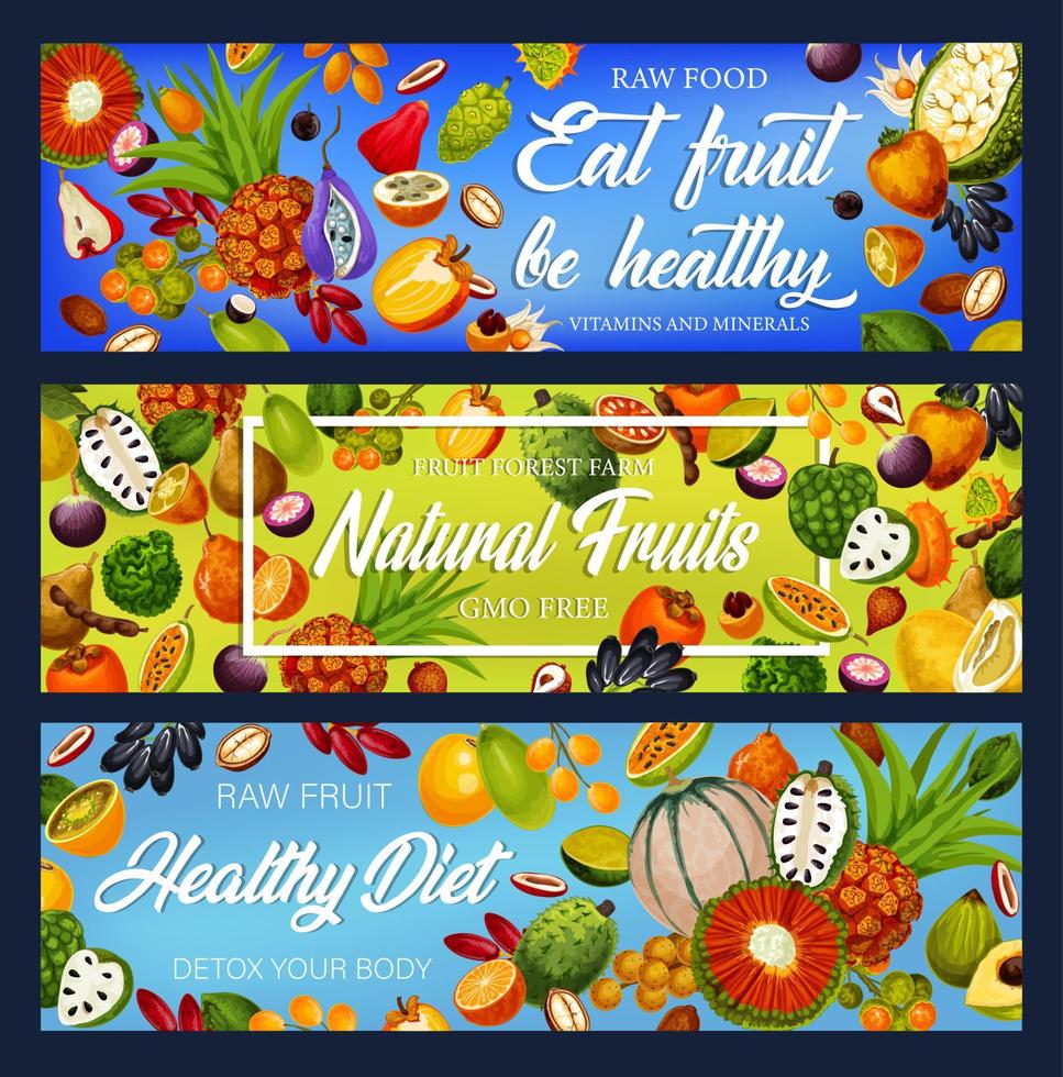 Fruits and berries, detox nutrition, gmo free vector