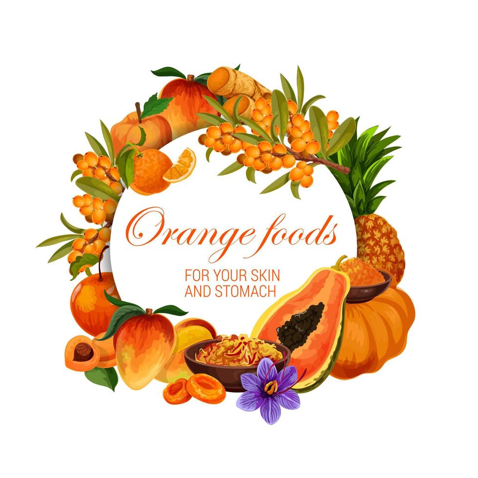 Color diet, orange food healthy nutrition fruits vector