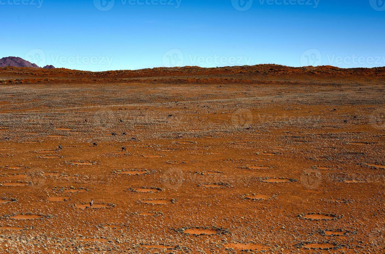 Fairy Circles - Namibia photo