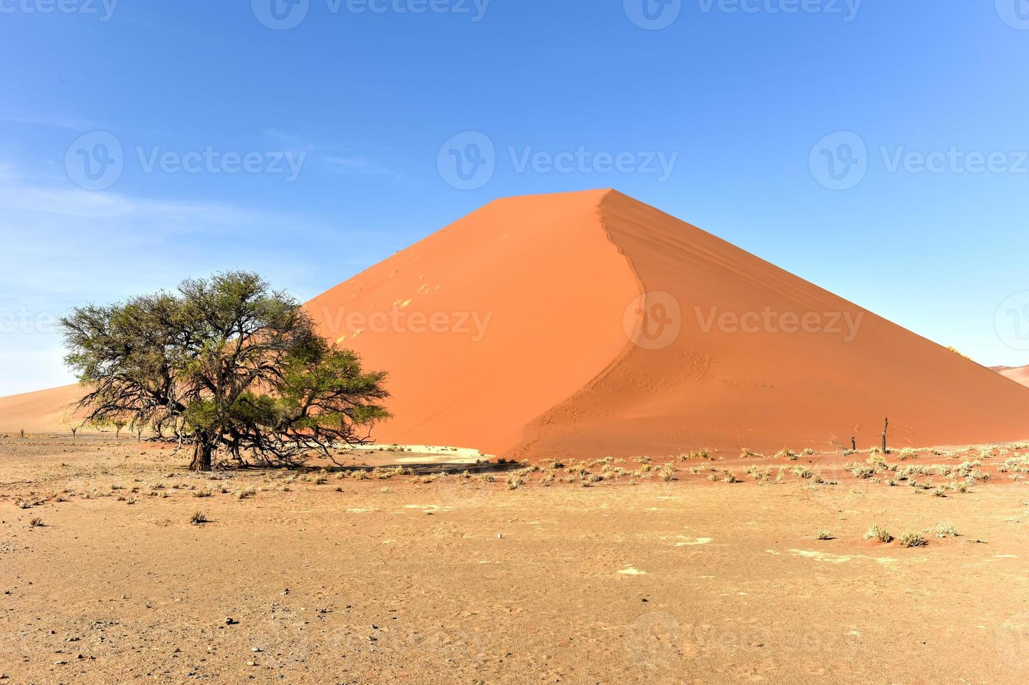 Namib Desert, Namibia photo