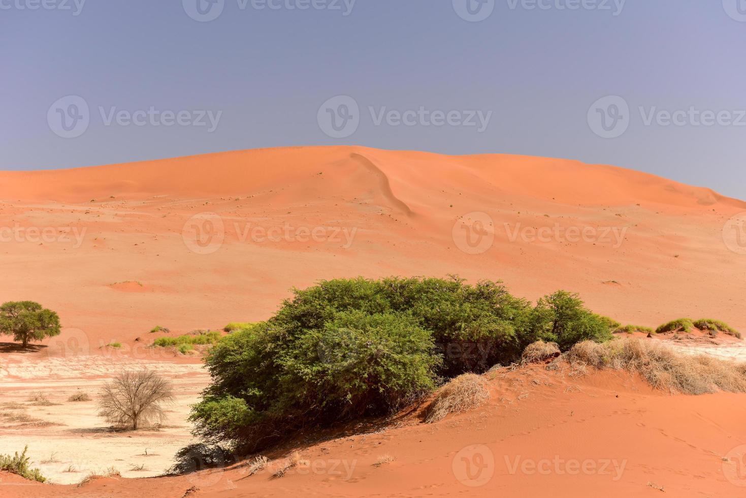 Sossusvlei desert, Namibia photo