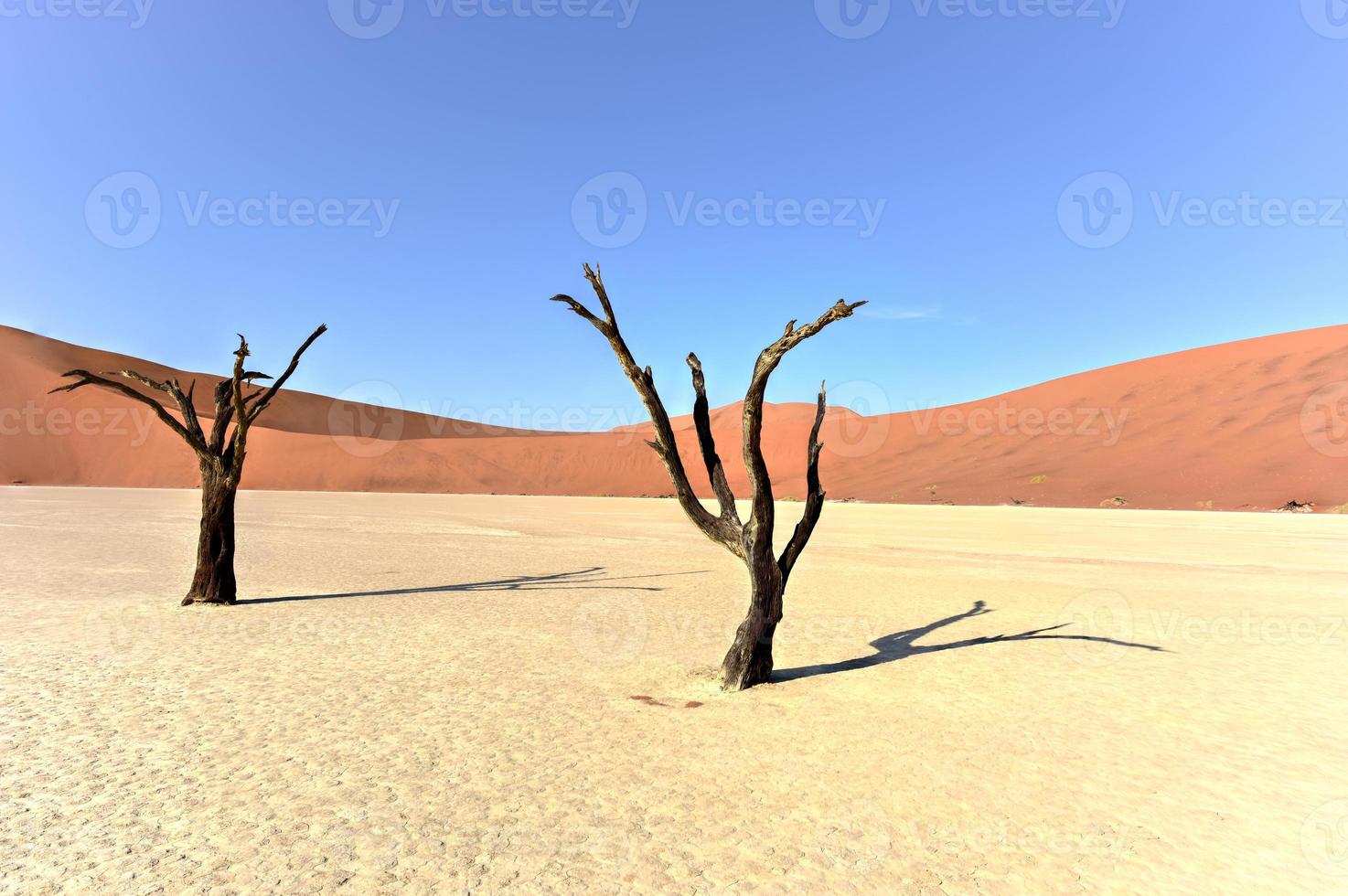 Dead Vlei, Namibia photo