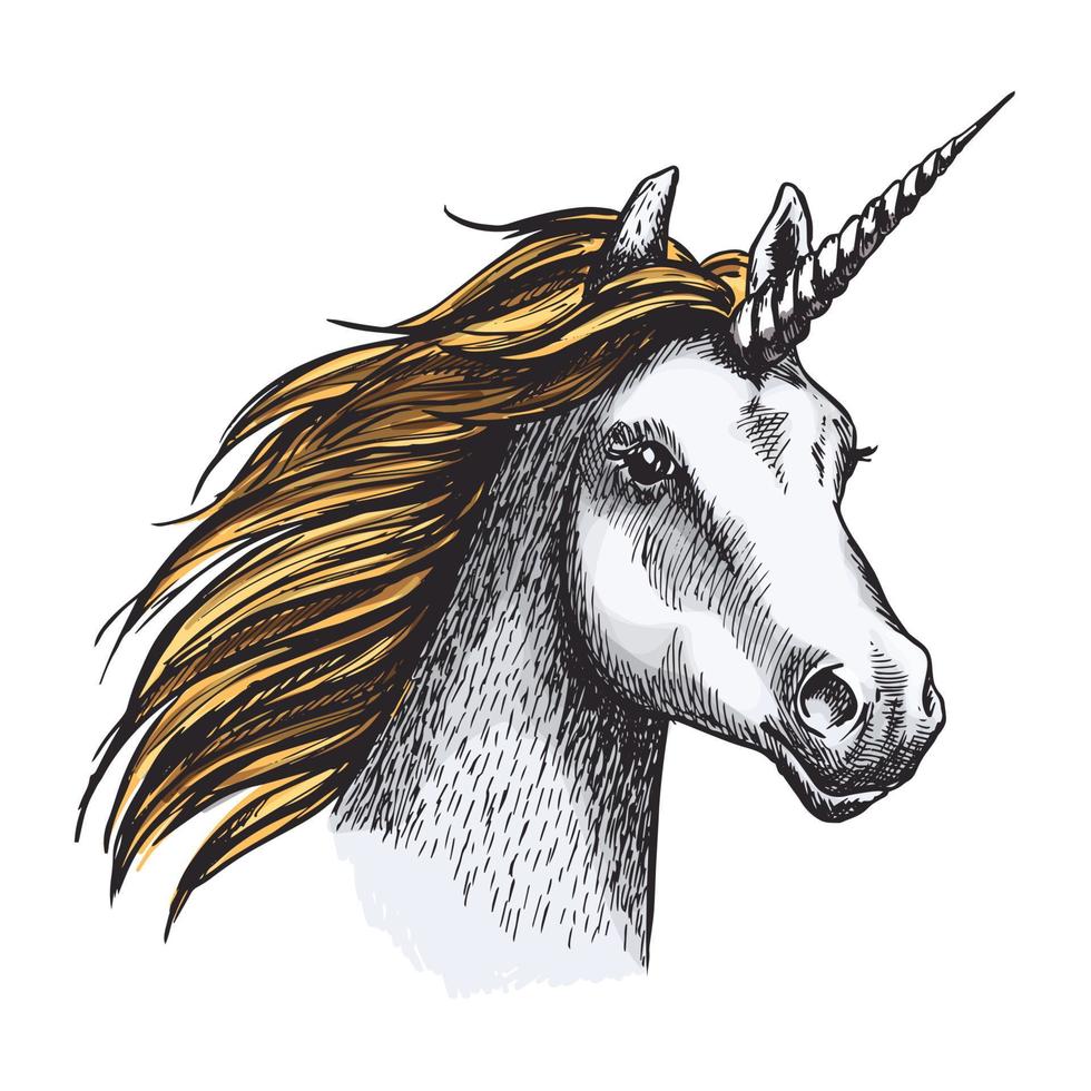 Unicorn horse with horn and golden mane sketch vector