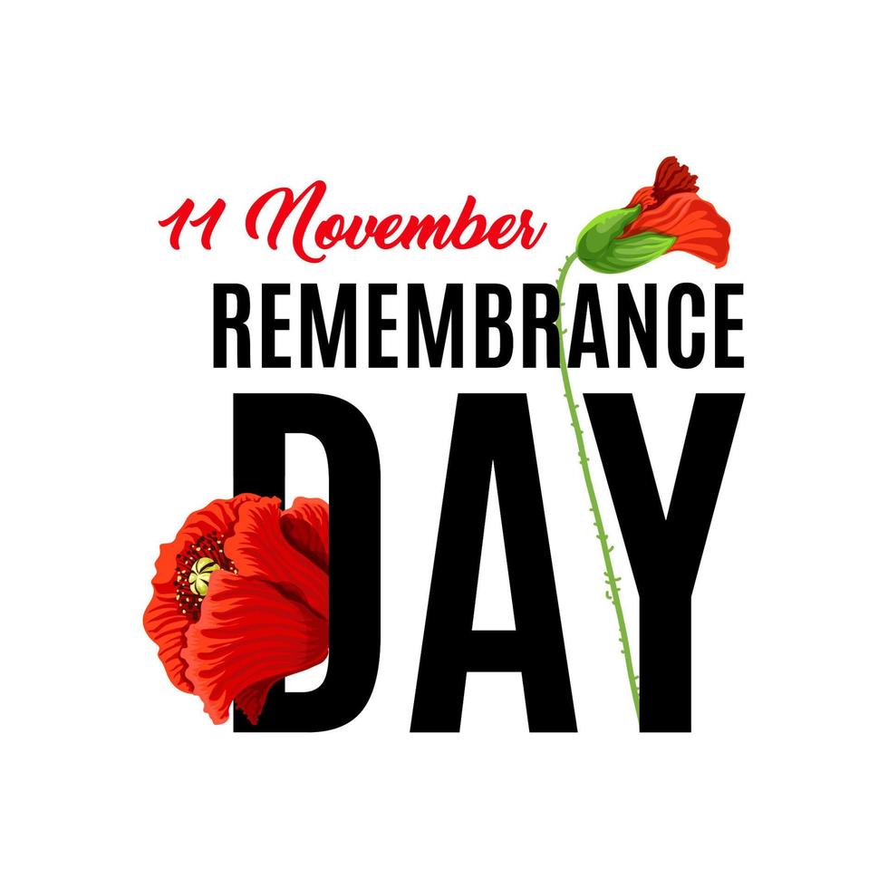 11 of November Remembrance day vector